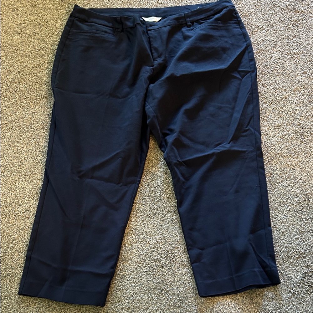 Navy Blue Pants